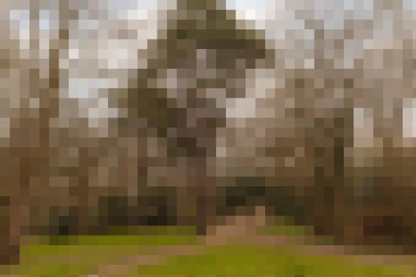 Van Soutelandelaan 22 Den Haag thumbnail 39