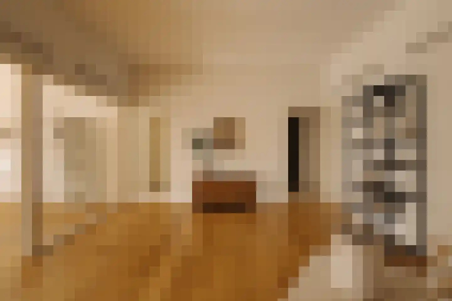 Van Soutelandelaan 22 Den Haag thumbnail 4