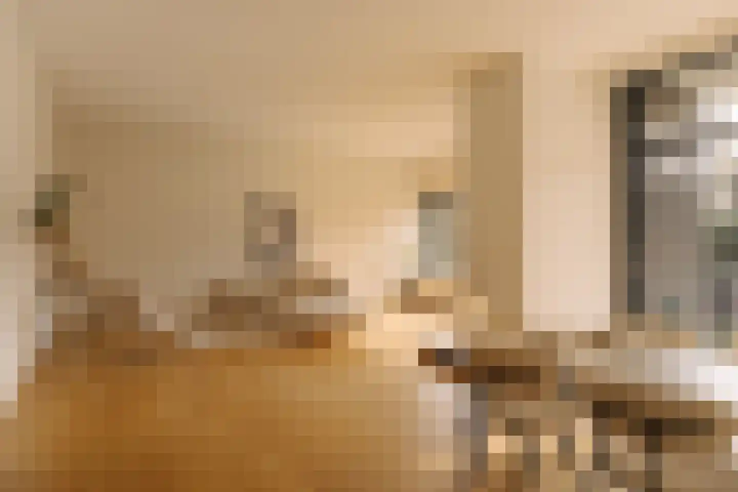 Van Soutelandelaan 22 Den Haag thumbnail 7