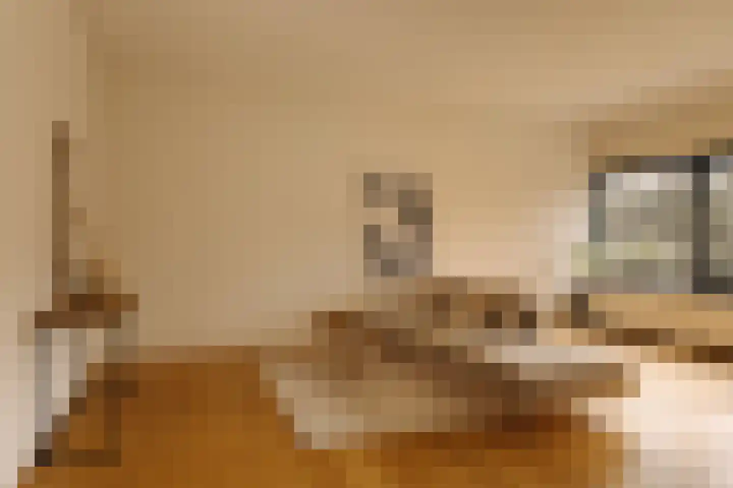 Van Soutelandelaan 22 Den Haag thumbnail 8
