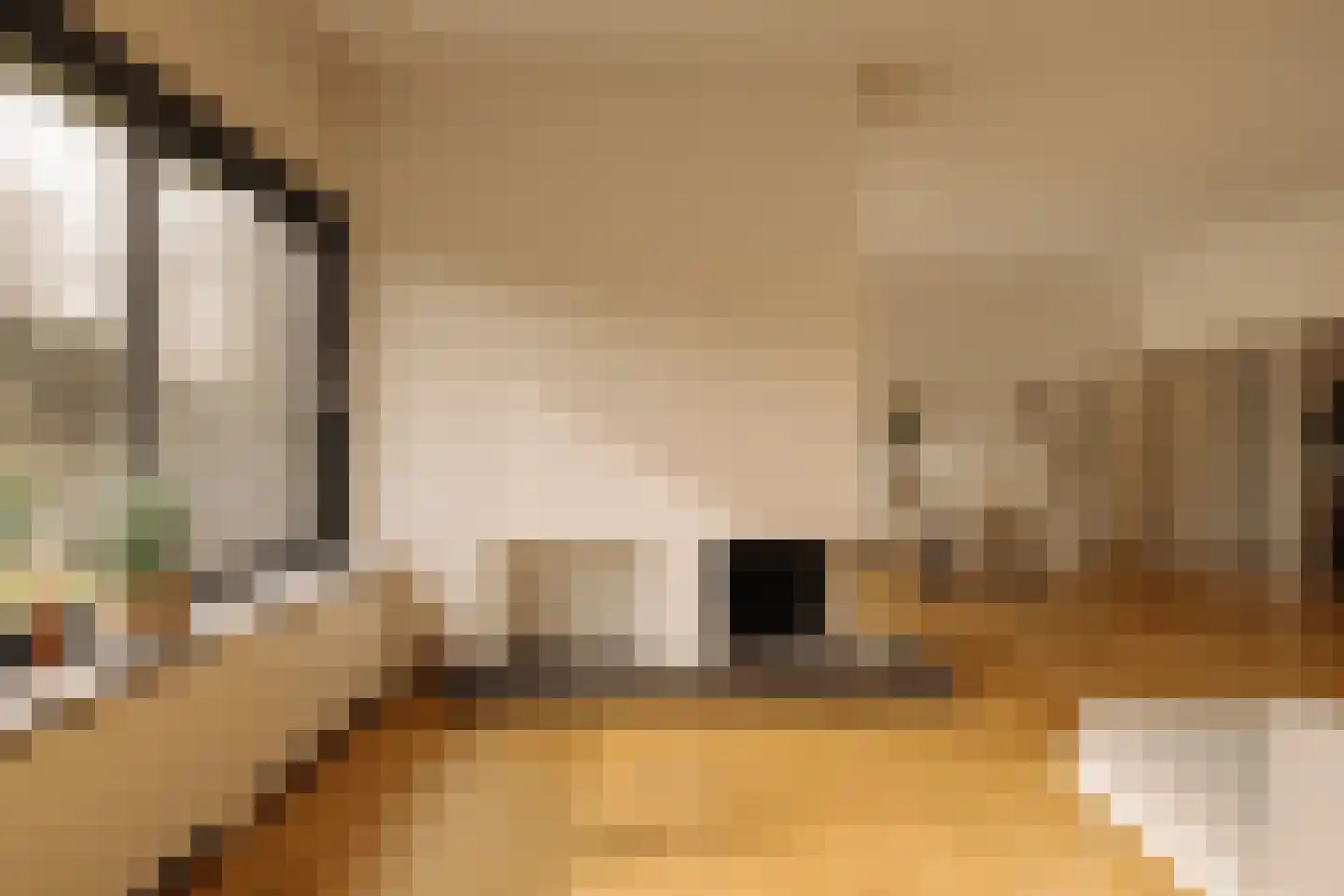 Van Soutelandelaan 22 Den Haag thumbnail 9