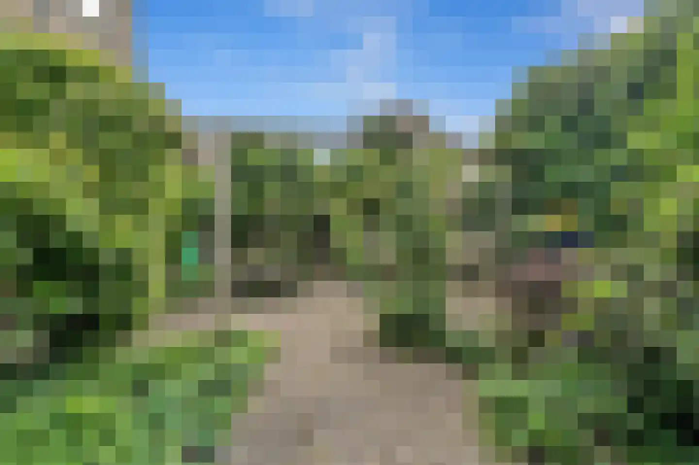 Van Soutelandelaan 43 Den Haag thumbnail 12