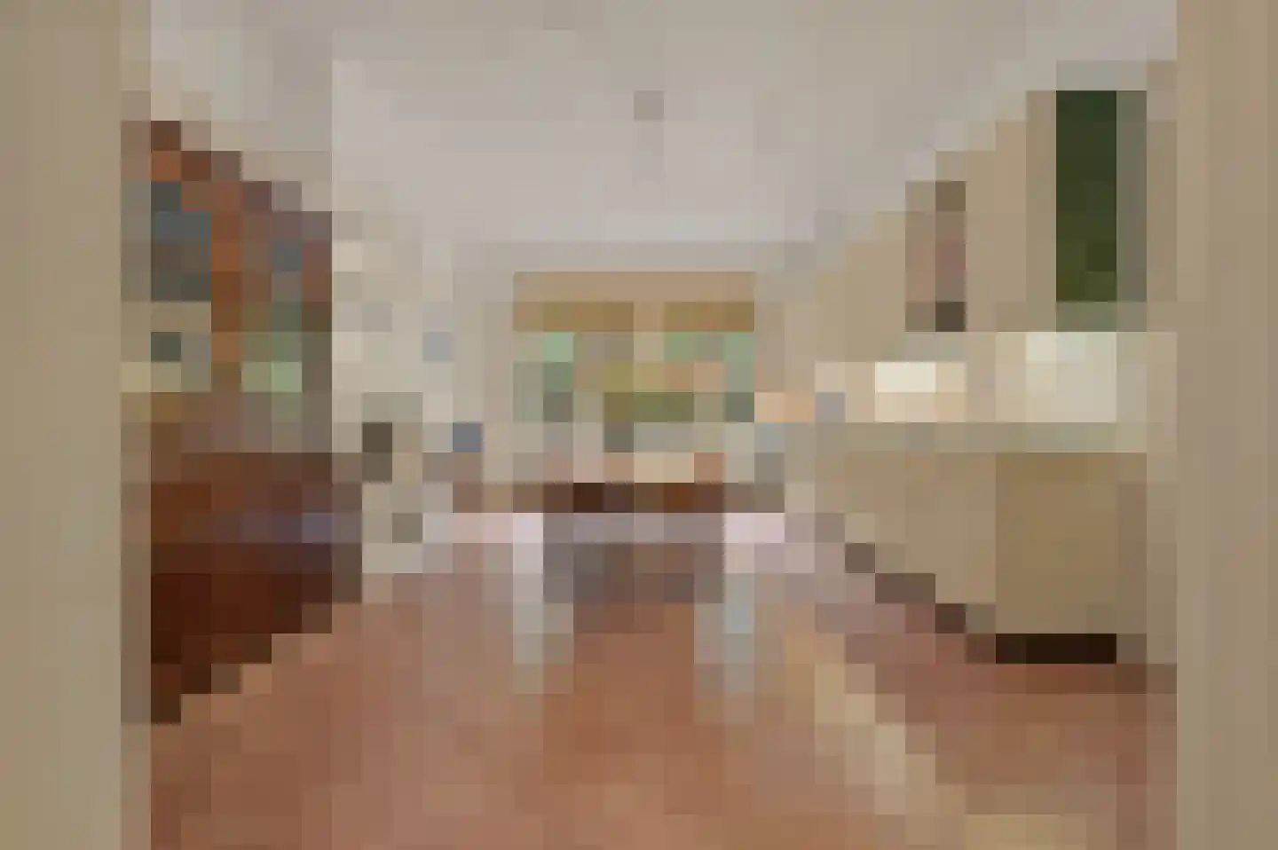 Van Soutelandelaan 43 Den Haag thumbnail 19