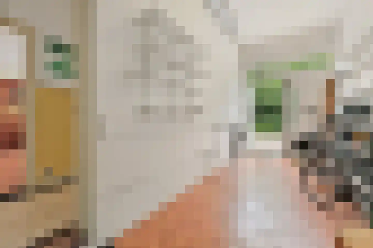 Van Soutelandelaan 43 Den Haag thumbnail 25