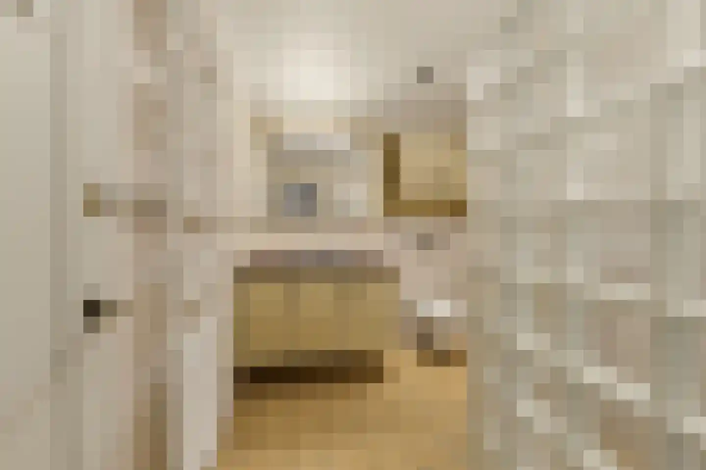 Van Soutelandelaan 43 Den Haag thumbnail 48