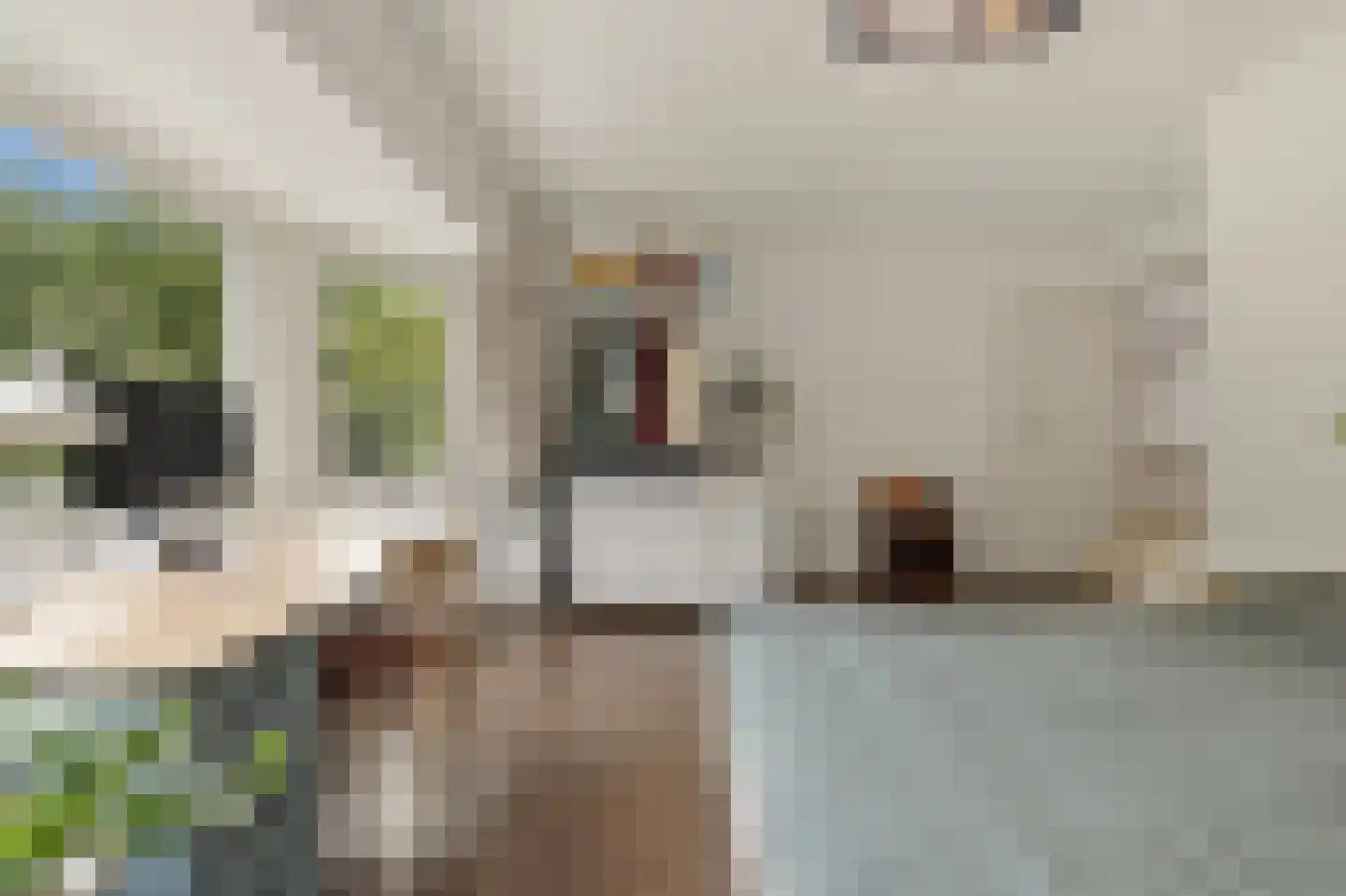 Van Soutelandelaan 43 Den Haag thumbnail 51