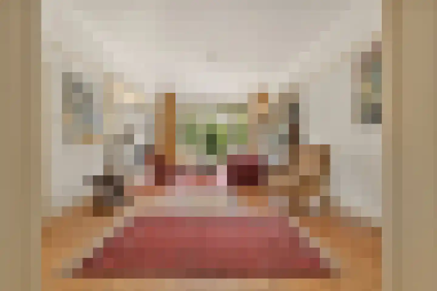 Van Soutelandelaan 43 Den Haag thumbnail 6