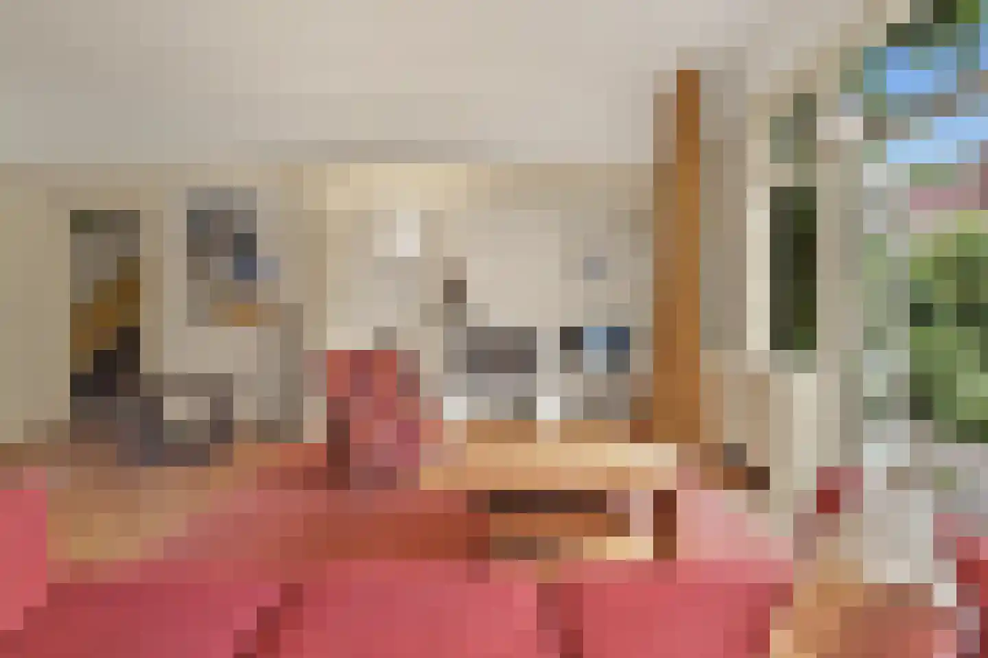 Van Soutelandelaan 43 Den Haag thumbnail 7