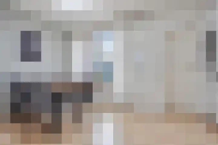 Van Spaanstraat 5 Tilburg thumbnail 12