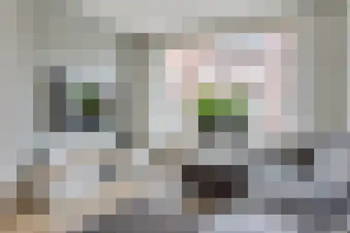 Van Spaanstraat 5 Tilburg thumbnail 7