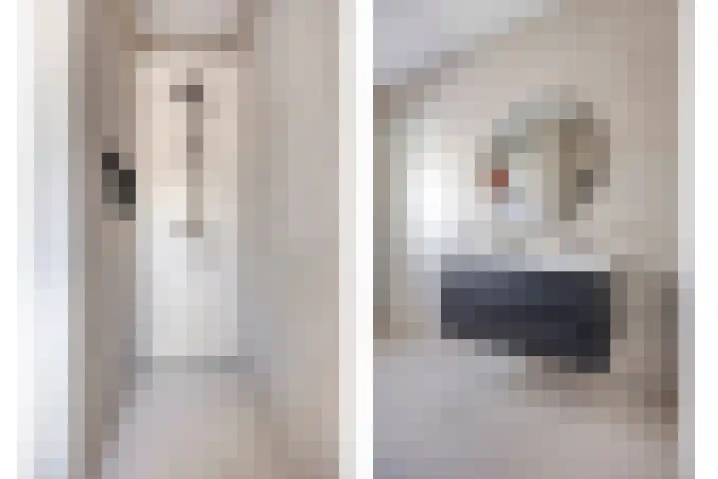 van Spaenstraat 20 B Nijmegen thumbnail 9