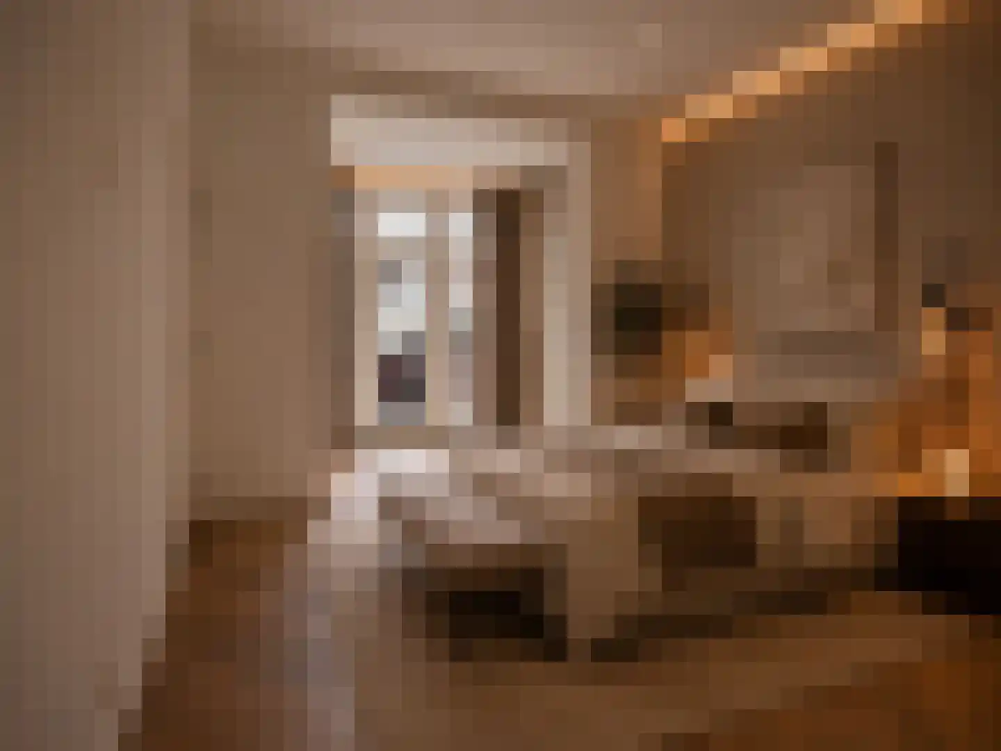 van Spaenstraat 20 Nijmegen thumbnail 18