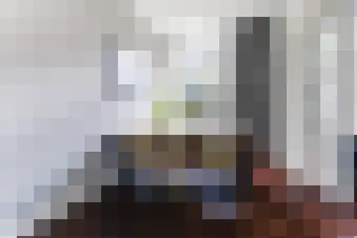 van Spaenstraat 24 Nijmegen thumbnail 22