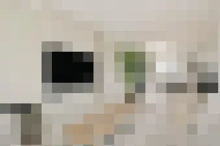 Van Spaenstraat 61 Arnhem thumbnail 8