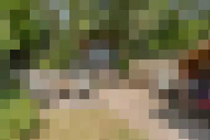 van Spaenweg 41 Oosterbeek thumbnail 32