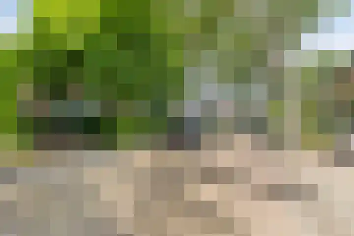 van Spaenweg 41 Oosterbeek thumbnail 34