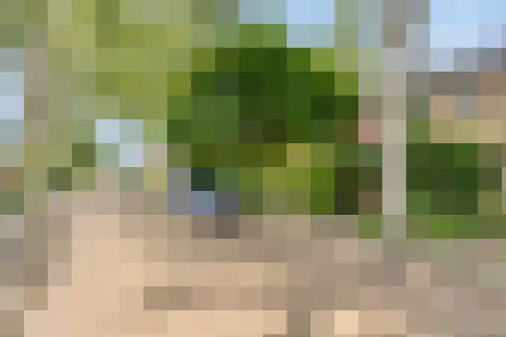 van Spaenweg 41 Oosterbeek thumbnail 35