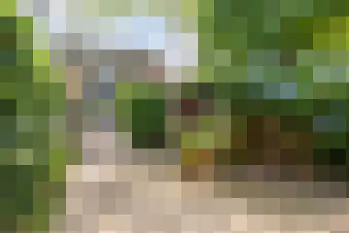 van Spaenweg 41 Oosterbeek thumbnail 6