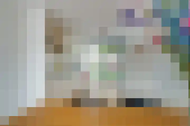 Van Spanjelaan 42 Utrecht thumbnail 13