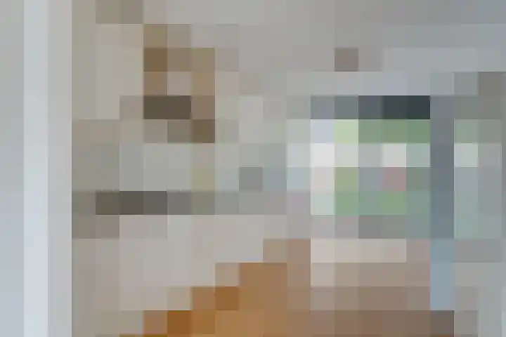 Van Spanjelaan 42 Utrecht thumbnail 14