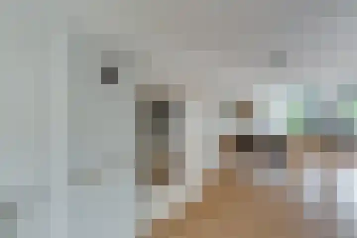 Van Spanjelaan 42 Utrecht thumbnail 16