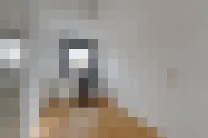 Van Spanjelaan 42 Utrecht thumbnail 21