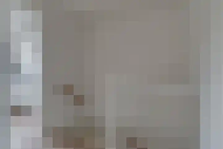 Van Spanjelaan 42 Utrecht thumbnail 28