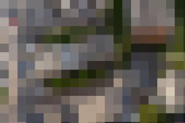 Van Spanjelaan 42 Utrecht thumbnail 37
