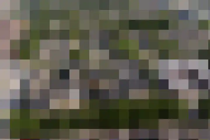 Van Spanjelaan 42 Utrecht thumbnail 38