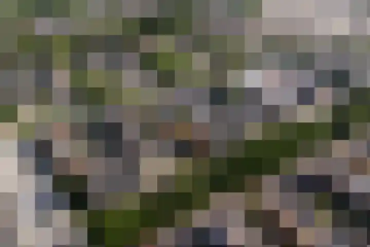 Van Spanjelaan 42 Utrecht thumbnail 39