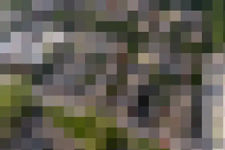 Van Spanjelaan 42 Utrecht thumbnail 40