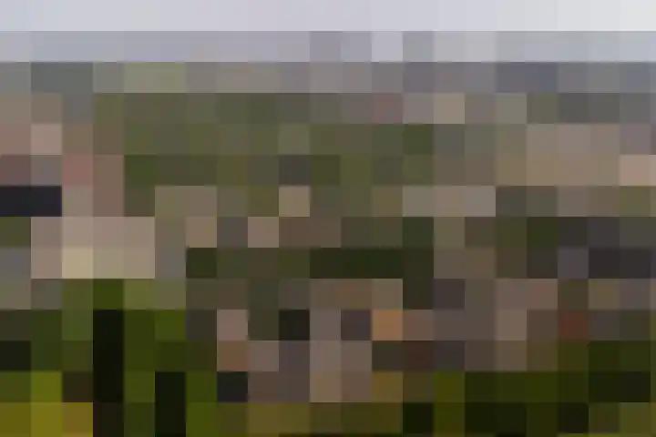 Van Spanjelaan 42 Utrecht thumbnail 41