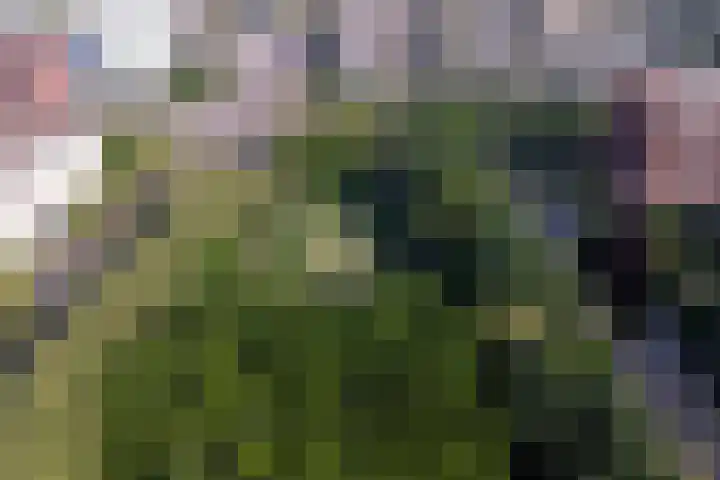 Van Spanjelaan 42 Utrecht thumbnail 43