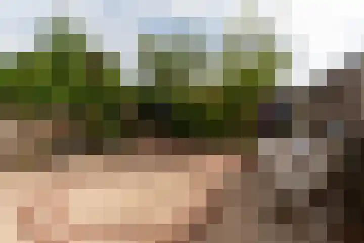 Van Spanjelaan 42 Utrecht thumbnail 7