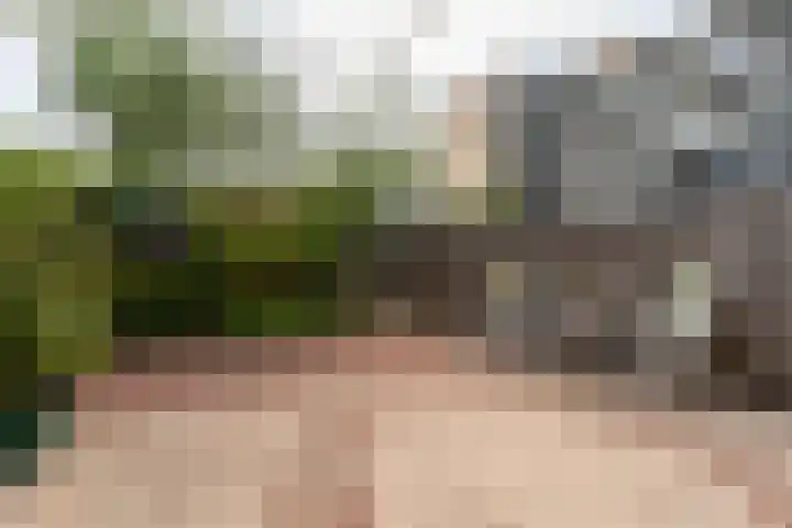 Van Spanjelaan 42 Utrecht thumbnail 8