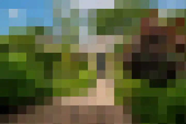 van Speijklaan 10 Baarn thumbnail 15