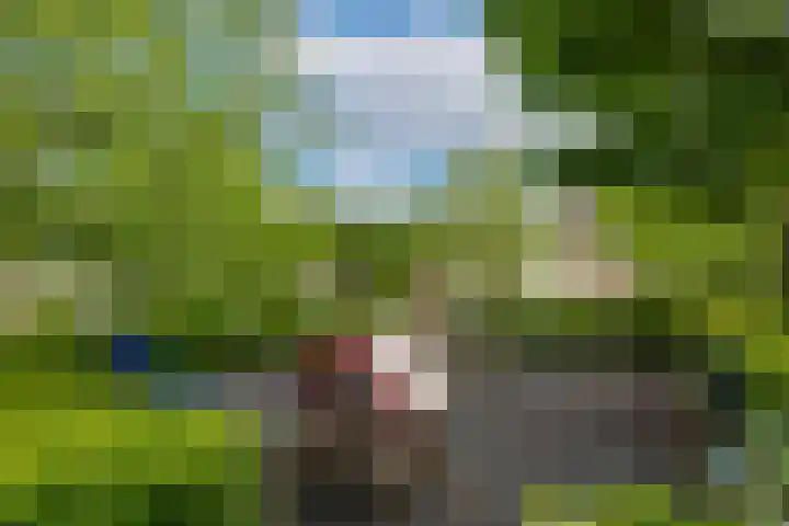 van Speijklaan 10 Baarn thumbnail 35
