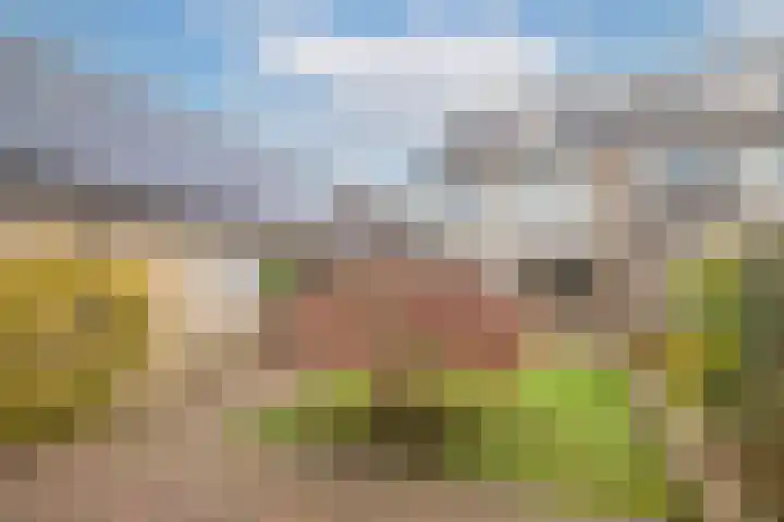 Van Speijklaan 15 Woudenberg thumbnail 26