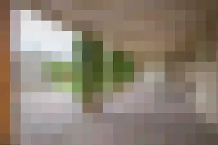 Van Speijklaan 15 Woudenberg thumbnail 27
