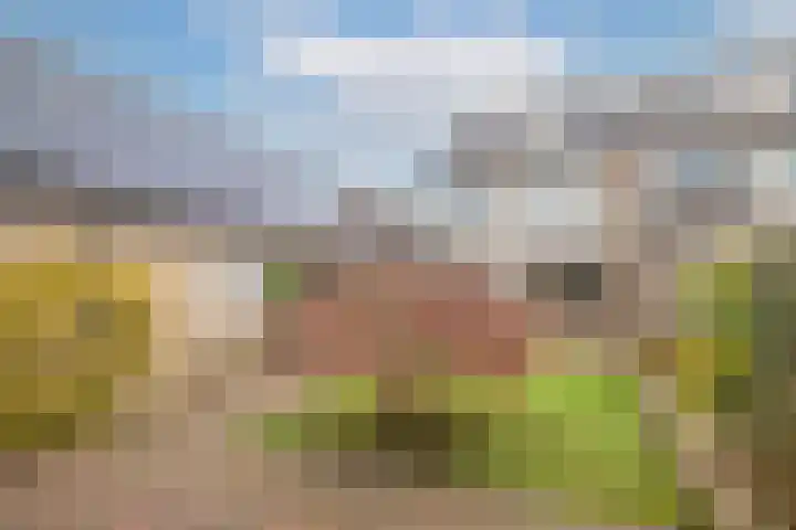 Van Speijklaan 15 Woudenberg thumbnail 4