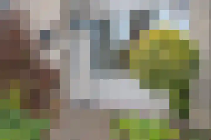 Van Speijklaan 15 Woudenberg thumbnail 7