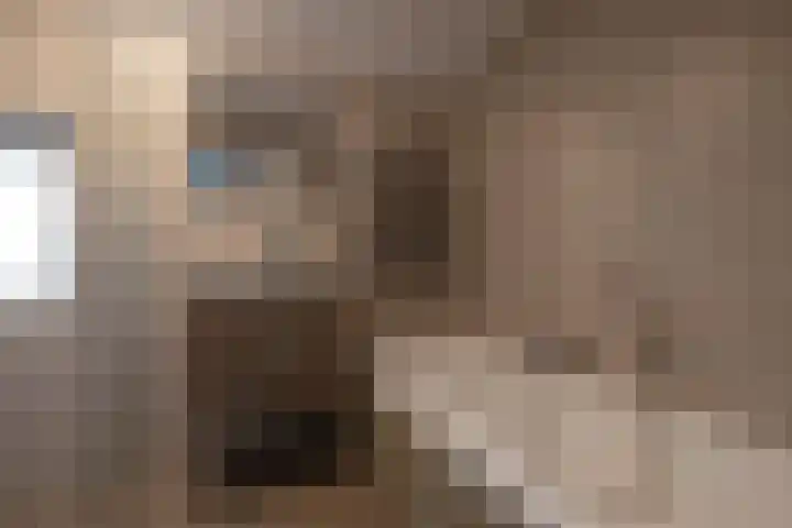 Van Speijklaan 3 Bussum thumbnail 13