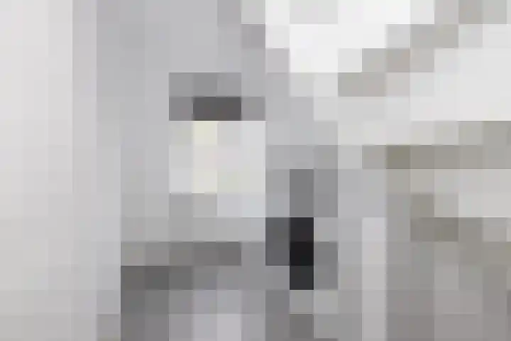 Van Speijklaan 3 Bussum thumbnail 16