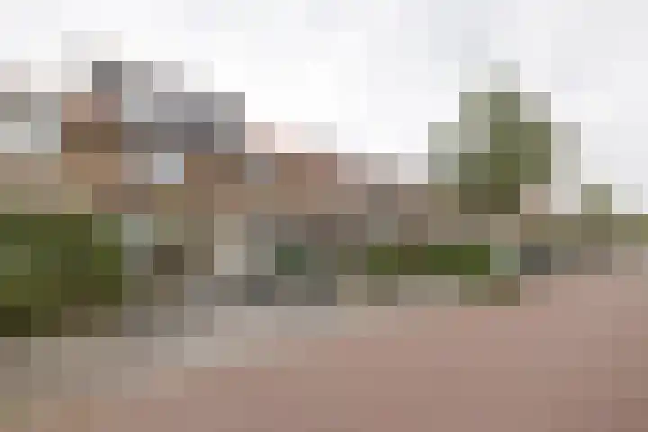 Van Speijklaan 3 Bussum thumbnail 18