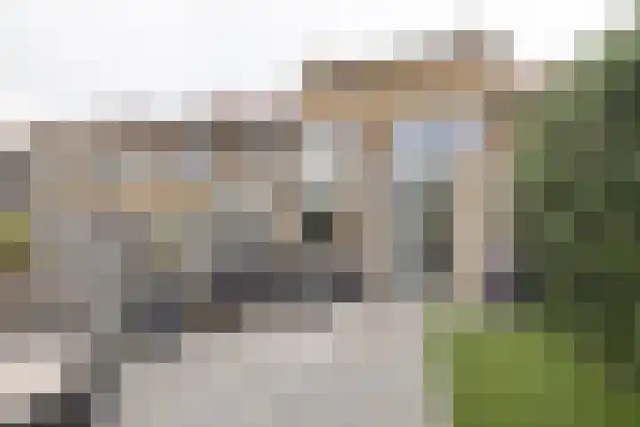 Van Speijklaan 3 Bussum thumbnail 22