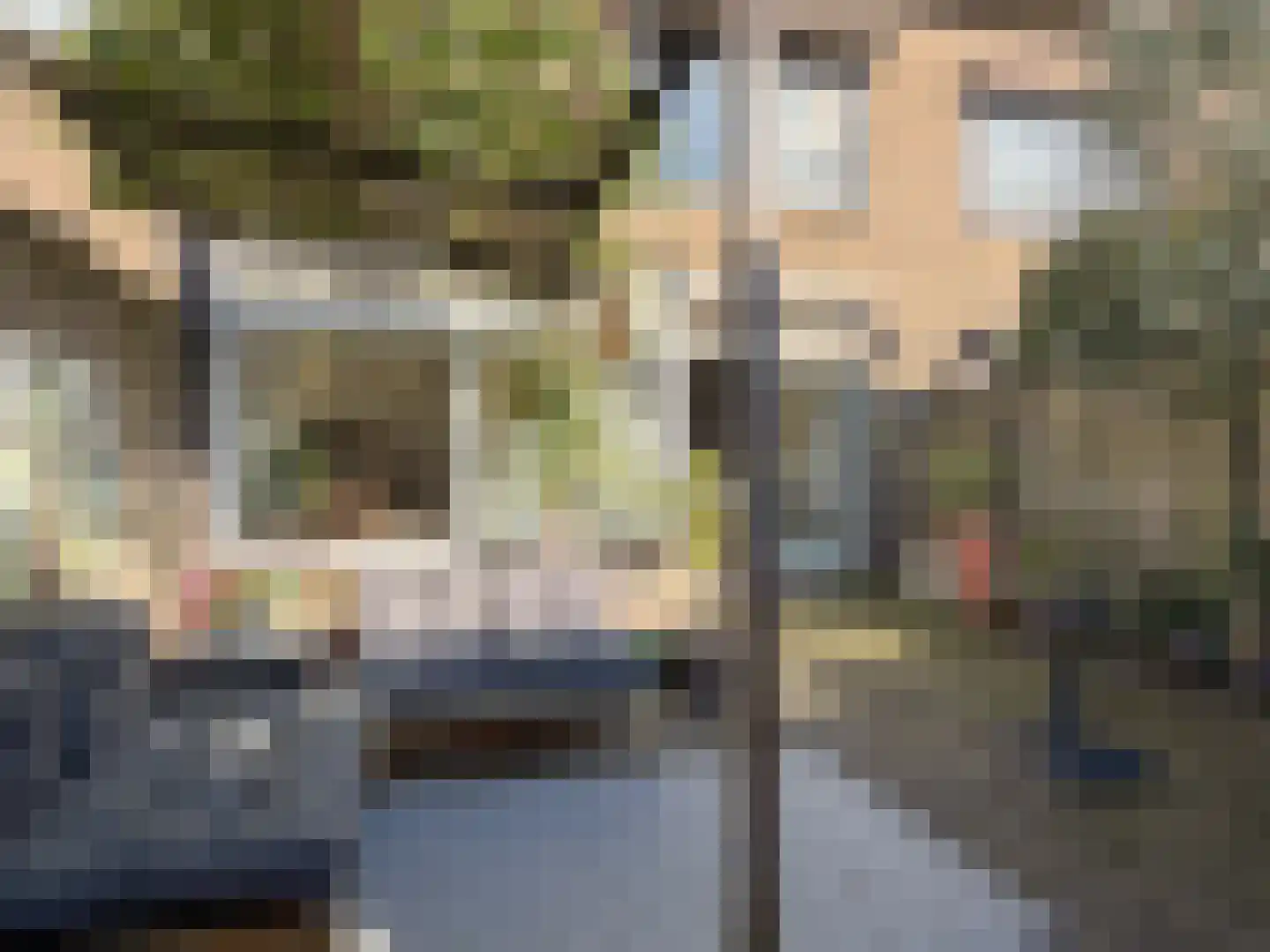 Van Speijklaan 30 Bussum thumbnail 14