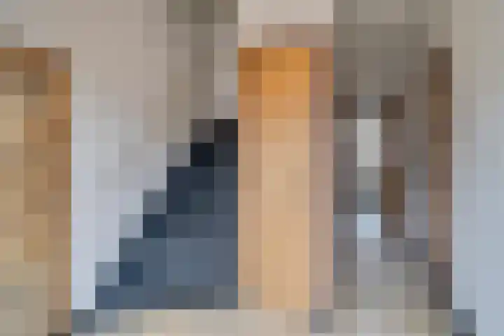 van Speijklaan 34 Helmond thumbnail 12