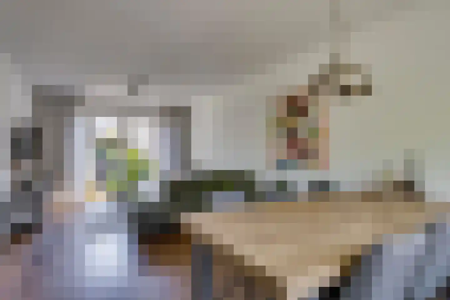 van Speijklaan 5 Son en Breugel thumbnail 15