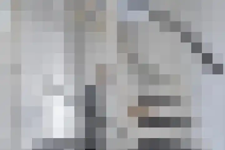 van Speijklaan 7 Helmond thumbnail 20