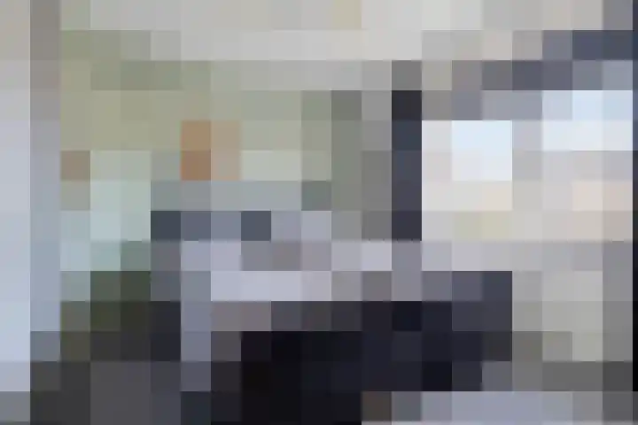 van Speijklaan 7 Helmond thumbnail 21